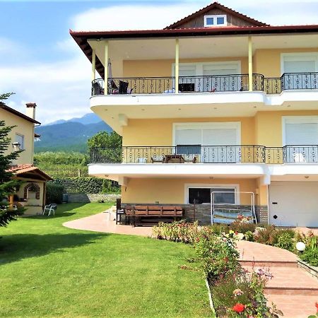 Apartment Achilles Litochoro Exterior foto